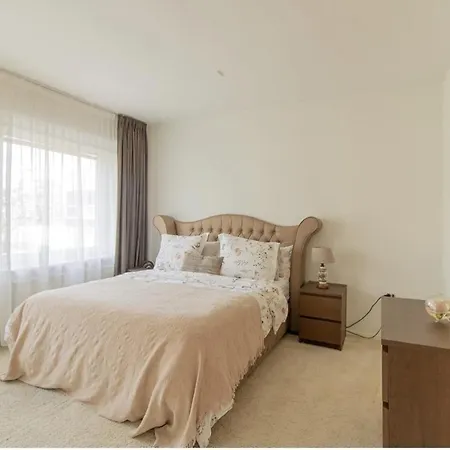 ホームステイ Spacious Room In Luxury Apartment
